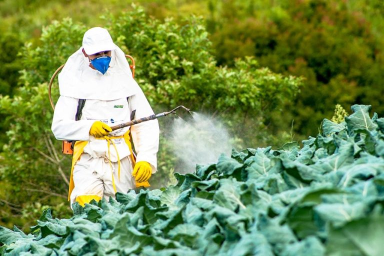 common pest control tips 768x512