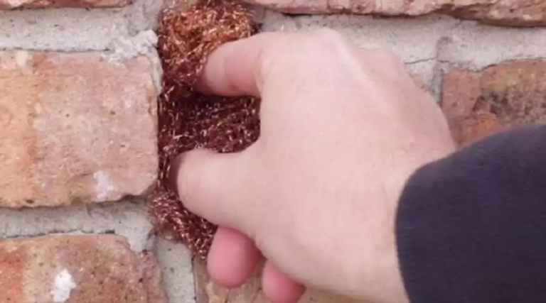 copper mesh gaps.jpg 768x427