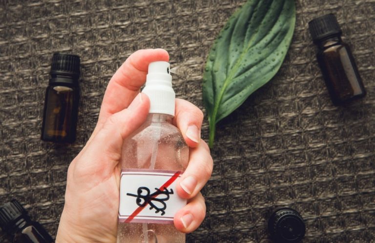 diy pest control 2 768x497