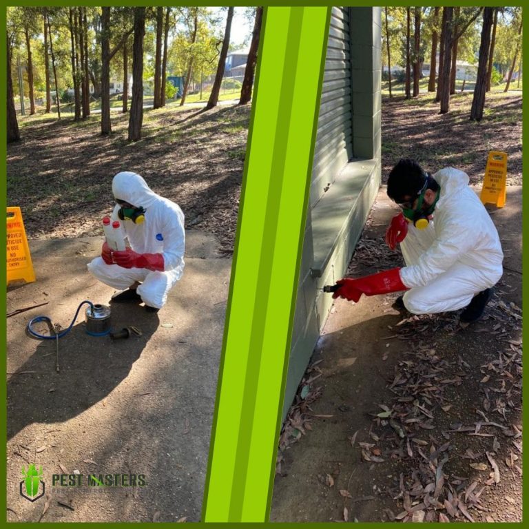 emergency pest control services 768x768