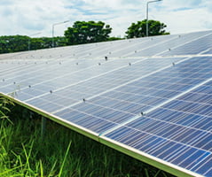 igreen 1