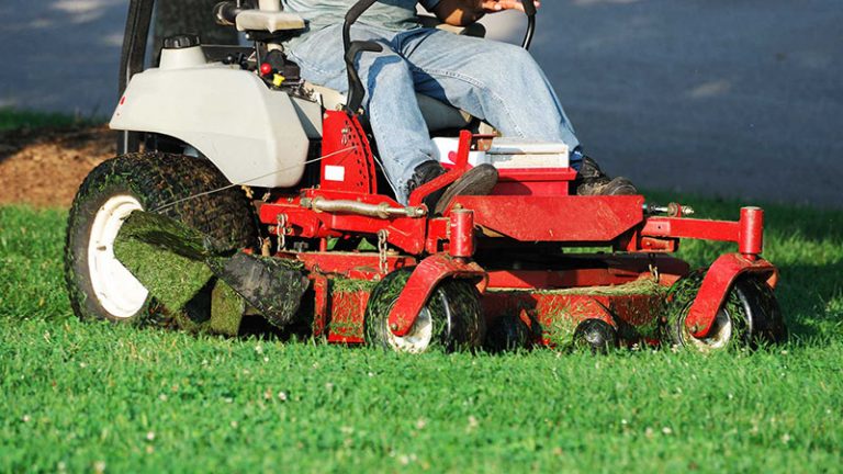 lawn mowing gardening caloundra 2 768x432