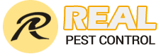 logo 2 4