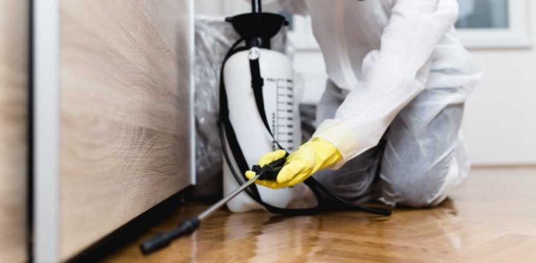 macgregor pest control banner 768x377