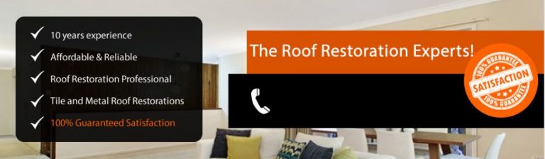 pro roof banner 768x224