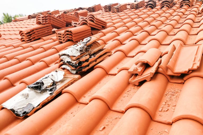 roof 2 768x512