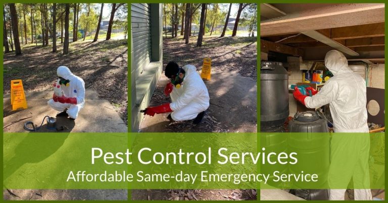 same day emergency pest control 768x402