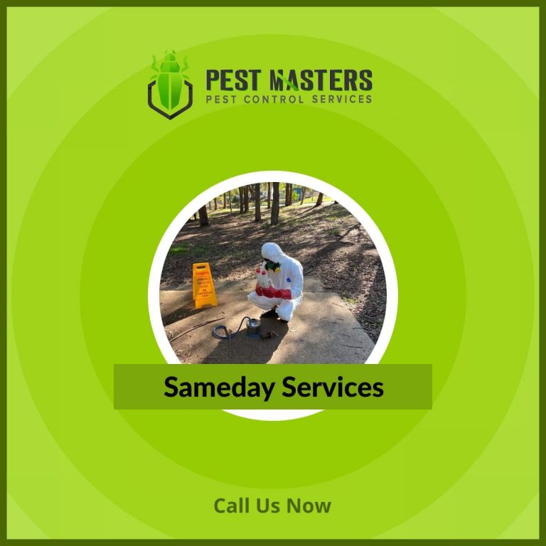 same day services 768x768