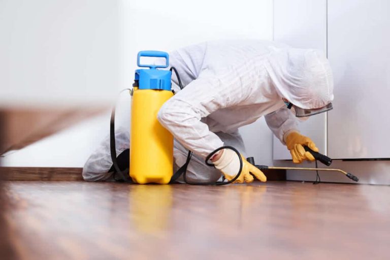 Pest Control Adelaide 768x512
