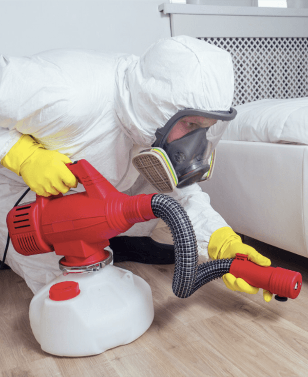 Pestly Pest Control Melbourne 1