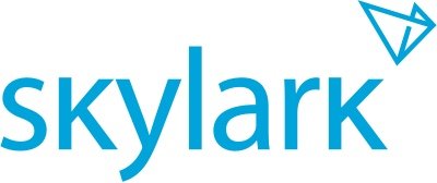 logo blue