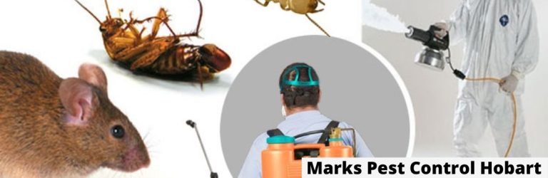 Marks Pest Control Hobart 768x250