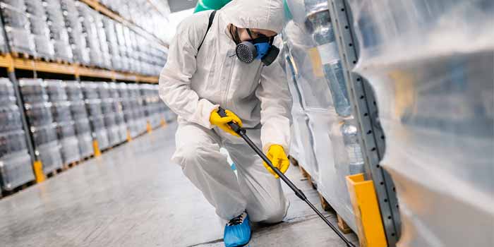 Bed bugs Control Mosman Park