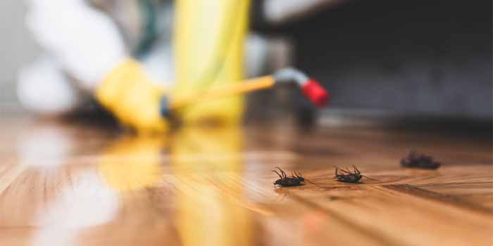 Cockroach Control Mosman Park