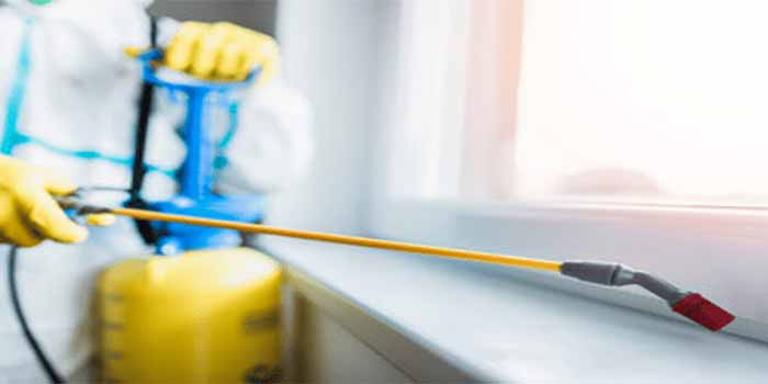 Flea Control Mosman Park