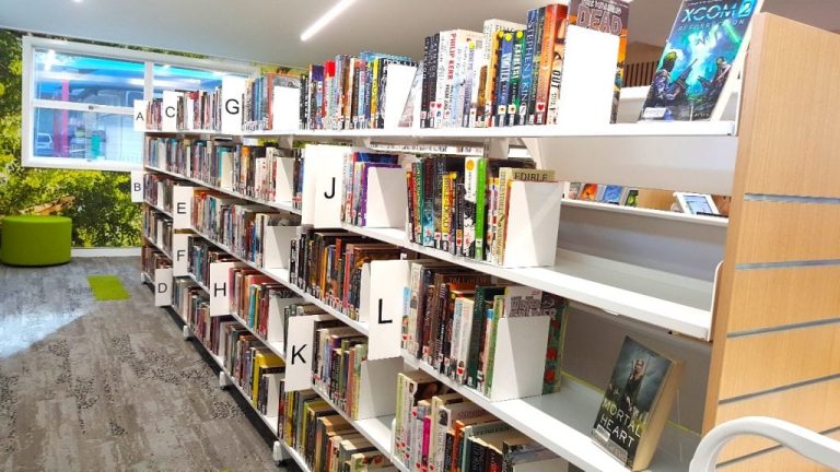 Merchandising Libraries Shelf Signage 768x432