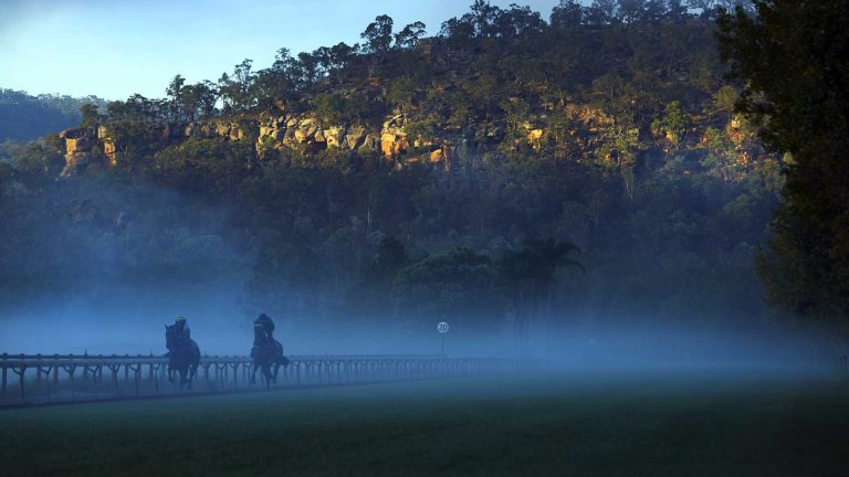Muskoka Farm Track Training 001 768x432
