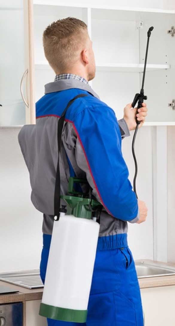 Pest Control Campbelltown