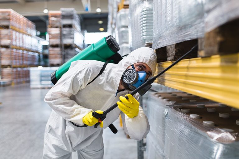 Pest service 768x512