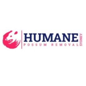 Pin Logo