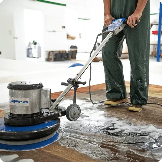 Professional Rug Cleaning Services2