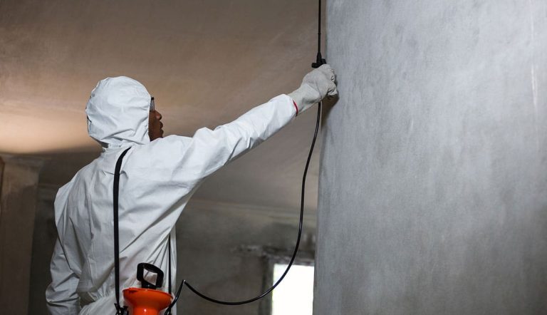 construction pest 768x442