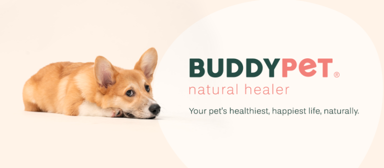 cover image 768x337