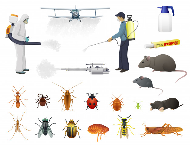 disinfection pest control insects extermination 8071 925