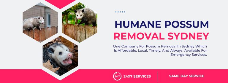 humane possum removal 768x280