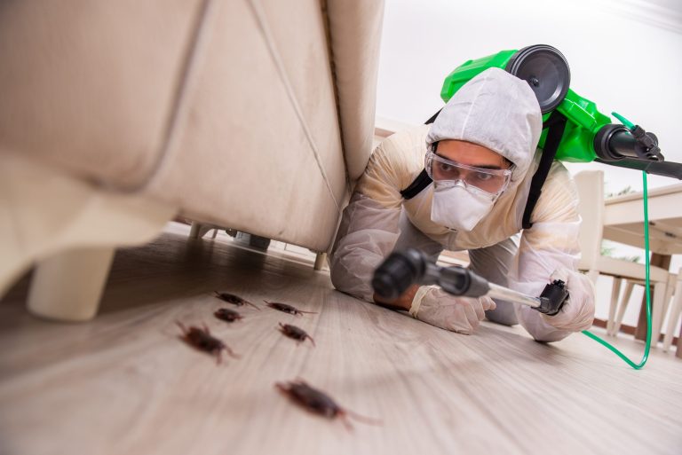 pest control3 768x513