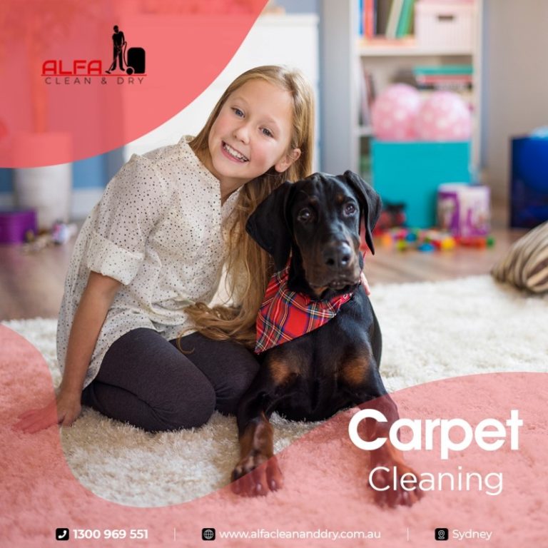 Carpet Cleaning Sydney at Alfa Clean and Dry 768x768