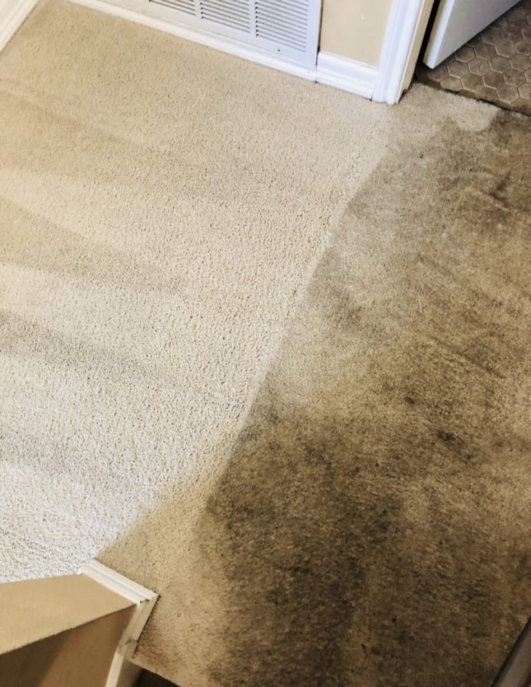 Carpet Cleaning5 1 768x993