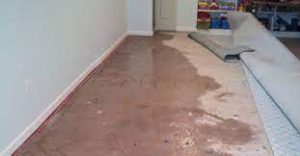 Flood Damage Carpet Drying 300x156 1