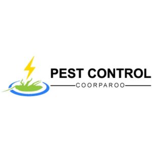 Pest Control Coorparoo