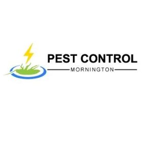 Pest Control Mornington