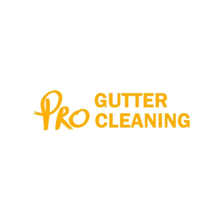 Pro gutter cleaning Instagram Logo 1 768x768