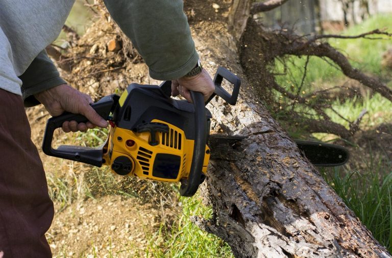 Tree Lopping Services In Bendigo 768x506