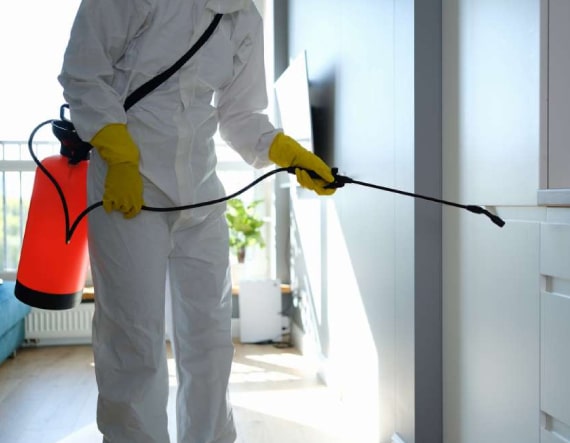 best pest control 1 1