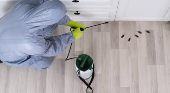 effective pest control services 1
