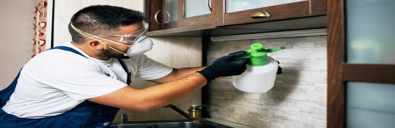 featured image pest control.jpeg 768x250