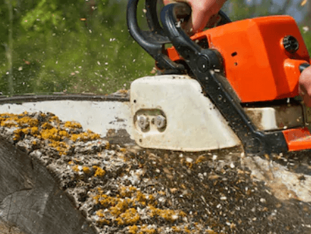 geelong arborist