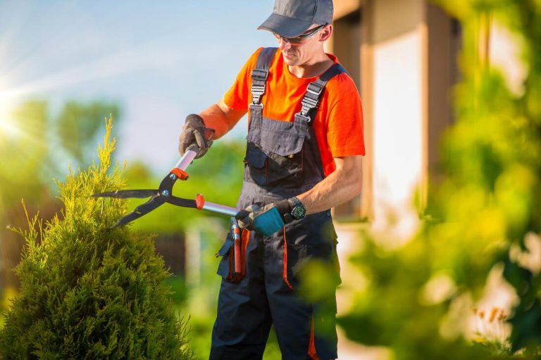 geelong tree service services 1 orig 768x512