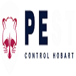 logo1 2
