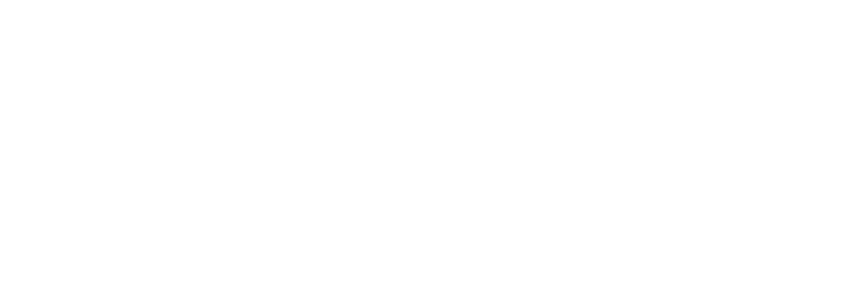 logo 8aa978f4 768x274