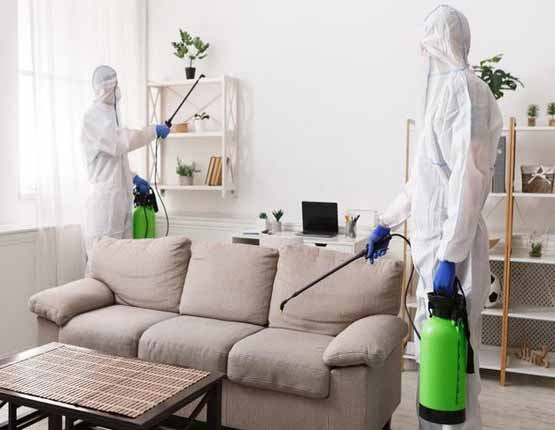 pest control 1 1