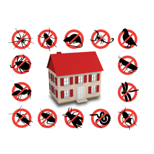 pest control services 500x500 1