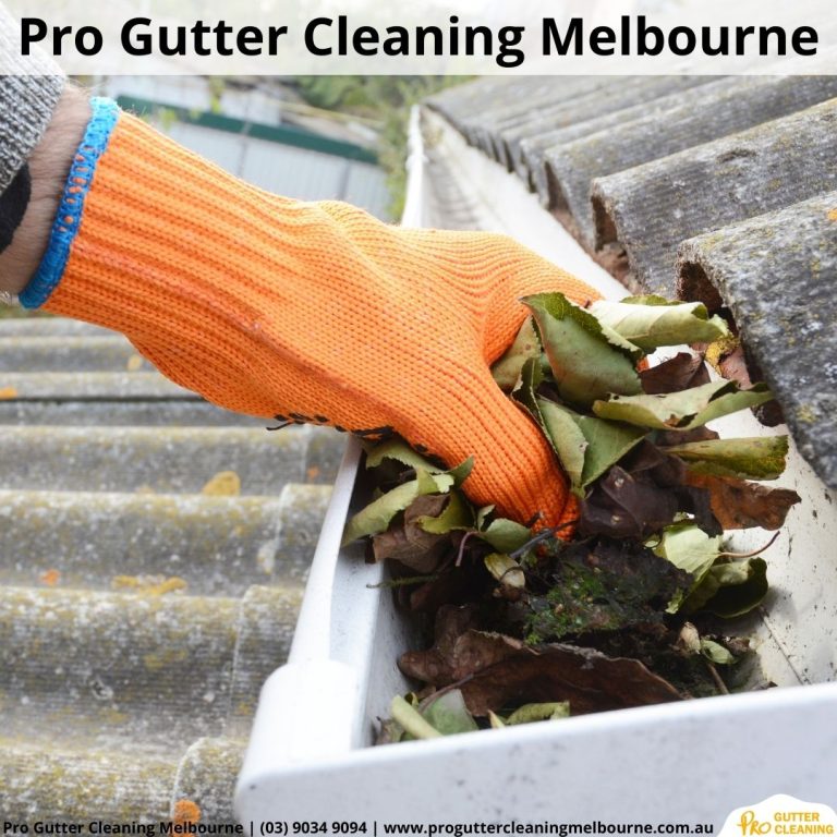 1 Pro Gutter Cleaning Melbourne 768x768