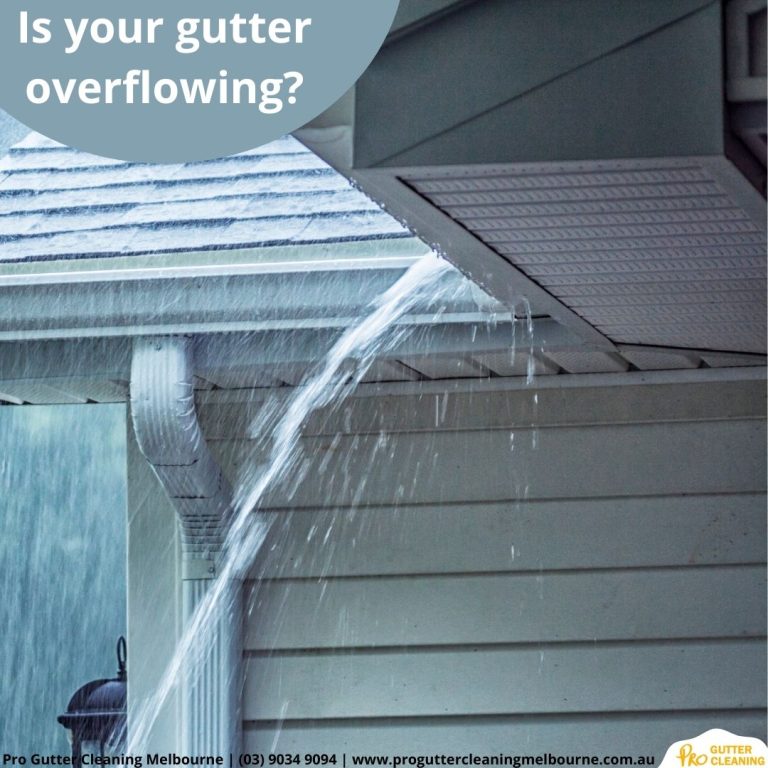 3 Is your gutter overflowing 768x768