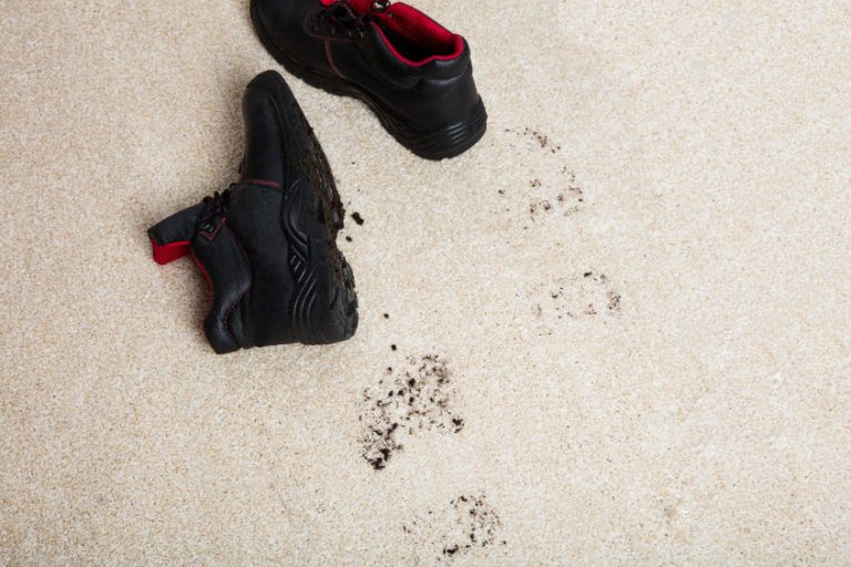 Best1Cleaning Blog MuddyCarpet 768x512