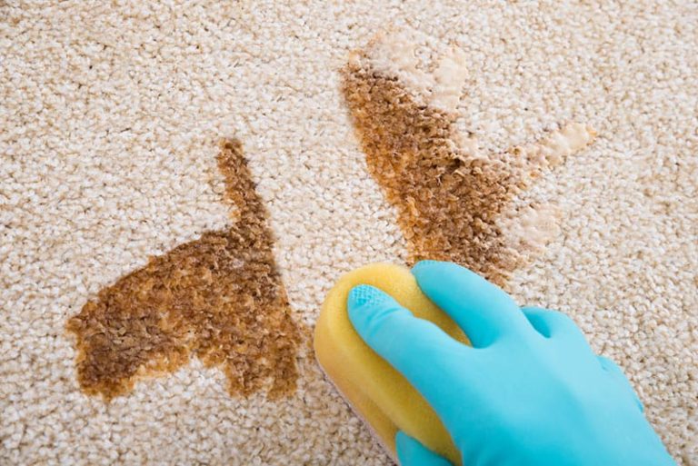 Bond cleaning10 768x513